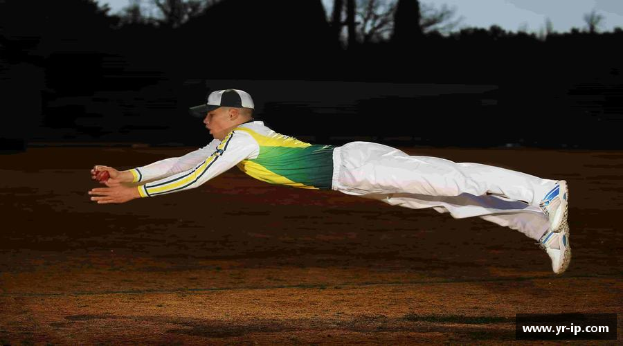 乐鱼网站奋勇争先，勇往直前！